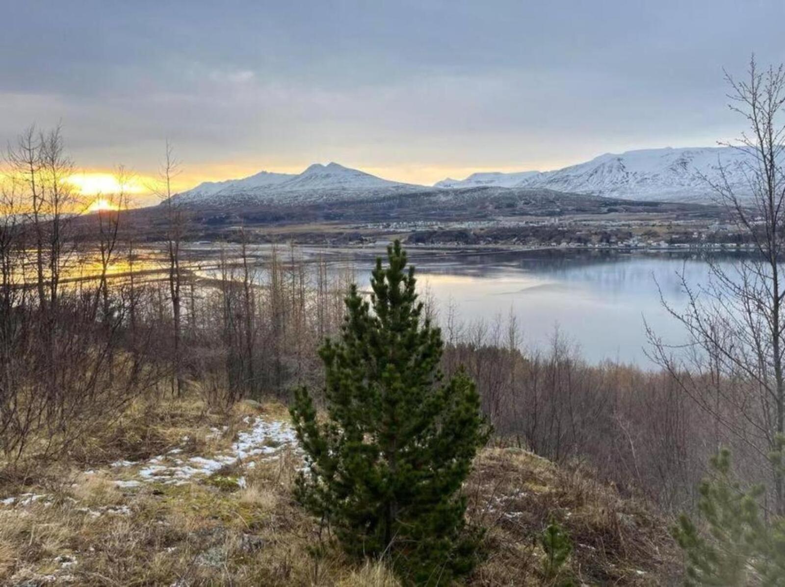 Cozy 2 Bedroom Cottage With Hot Tub Akureyri Exterior photo